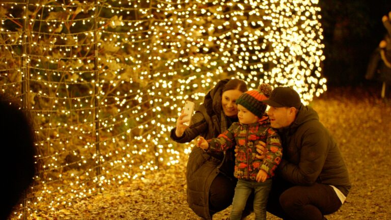 Northwest’s most spooktacular Magical Woodland Experience for Halloween