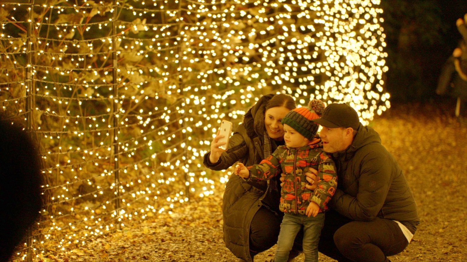 Northwest’s most spooktacular Magical Woodland Experience for Halloween