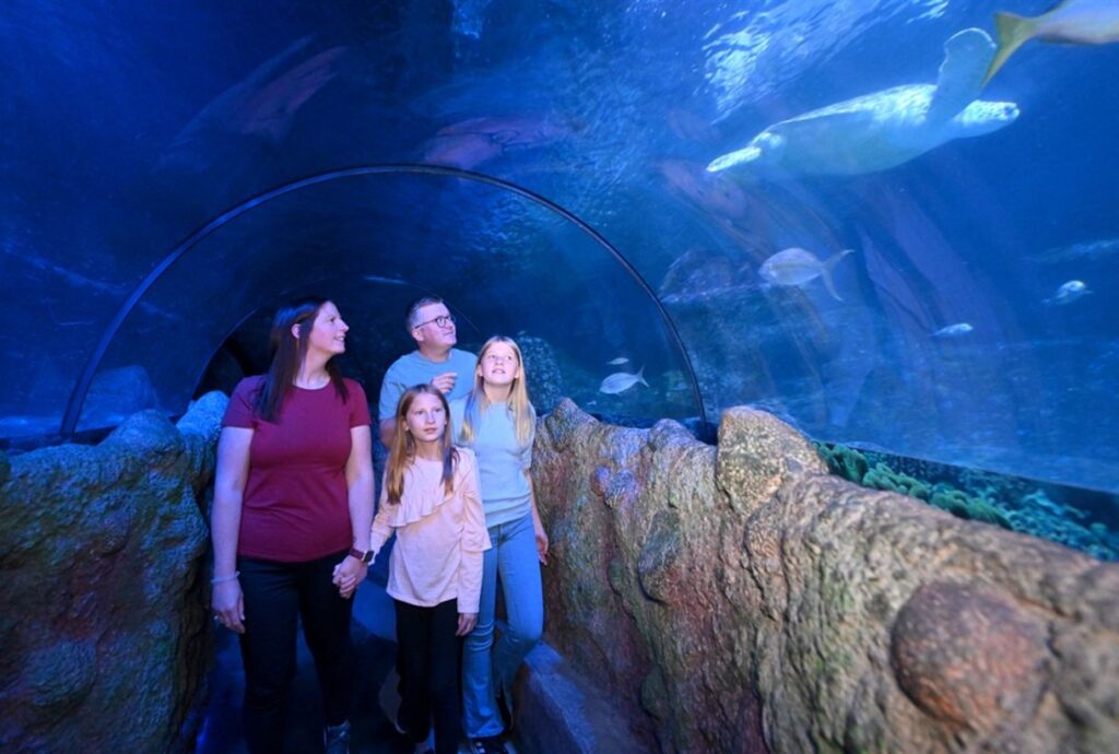 Snowy's Conservation Crew