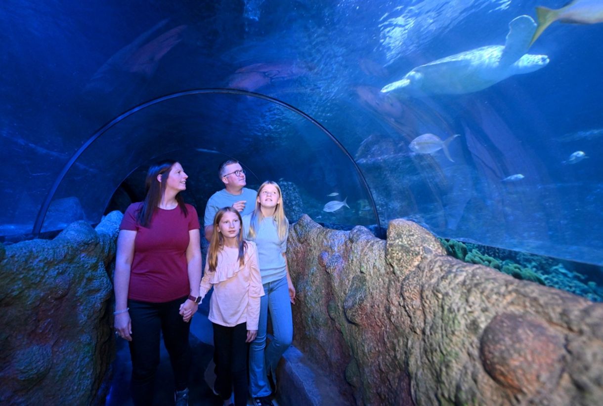 Snowy's Conservation Crew